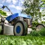 garden grass meadow green