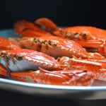 photo of a crab on a white ceramic plate