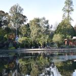 The lake at Brynmill Park