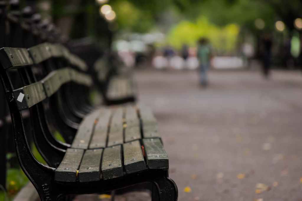 selective focus photography of brown wooden bench