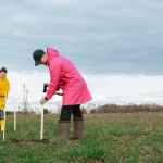 volunteers on tree planting
