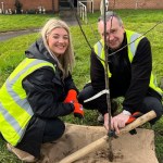 Tai Tarian Orchard Project