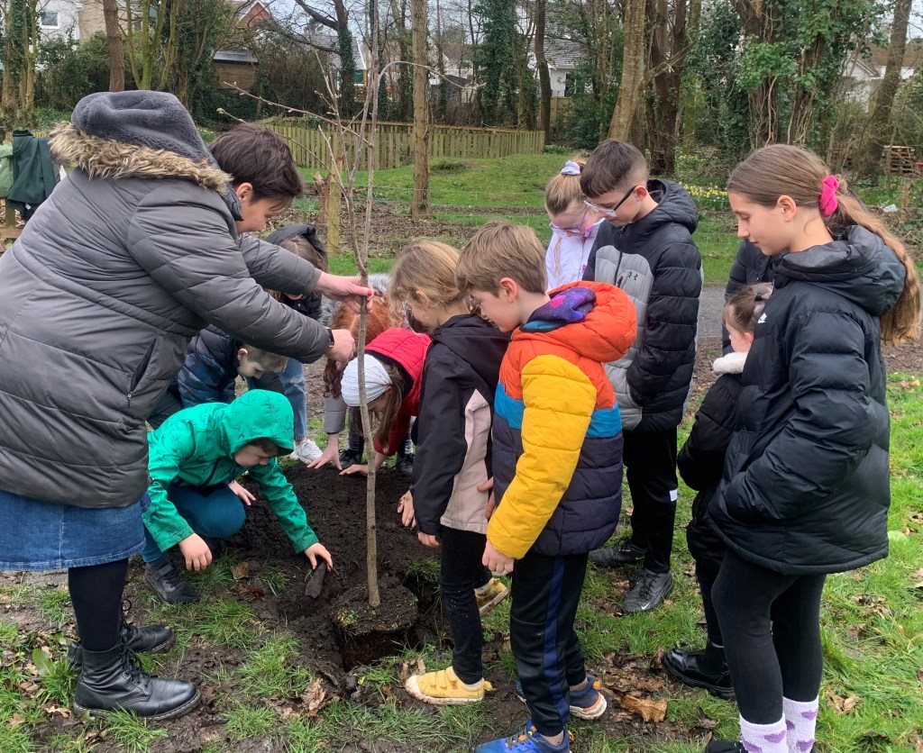 Blossom tree planted at Casllwchwr Primary School to connect more ...