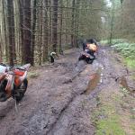 off road bike in a forest