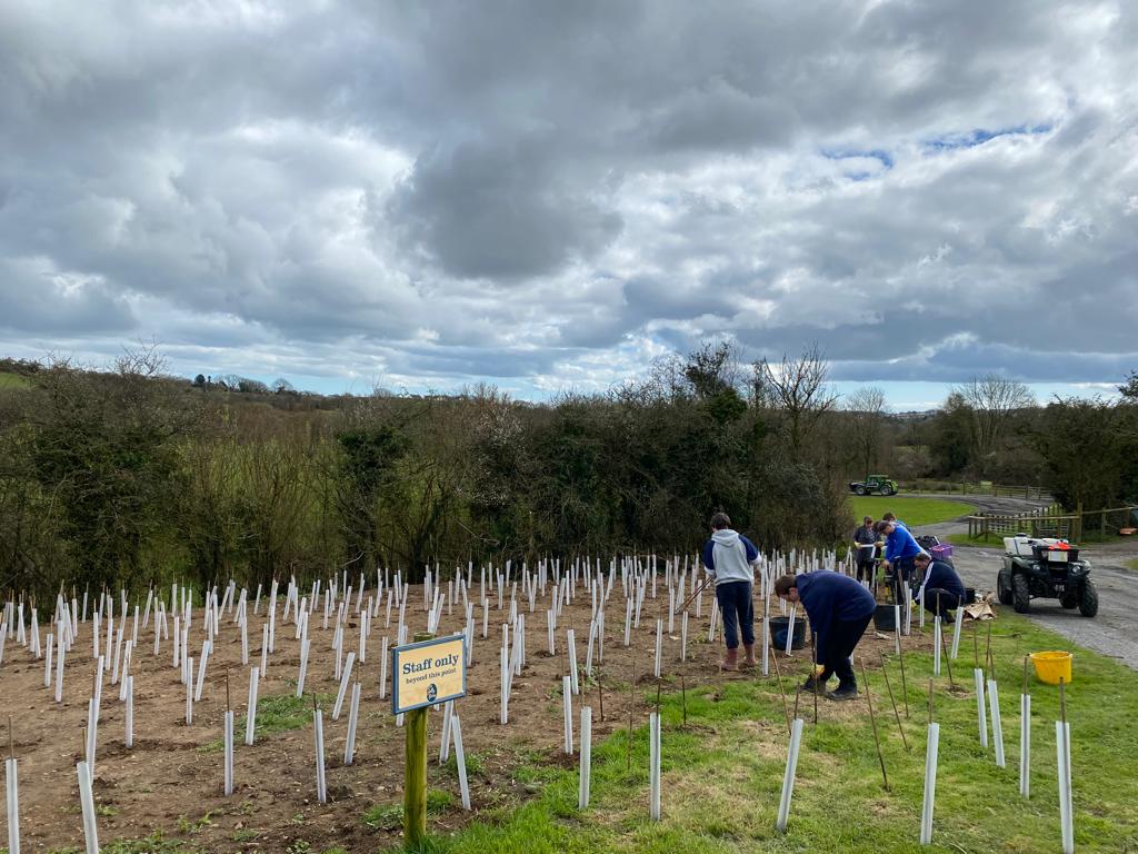 The volunteers planted 500 trees in one day at Folly Farm