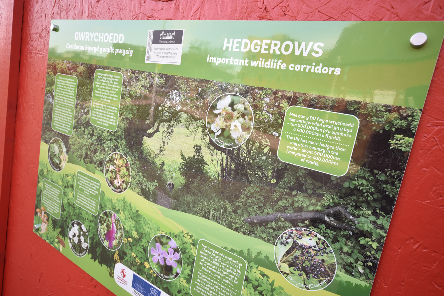 New signs at the pop-up park. (Image:Swansea Council)