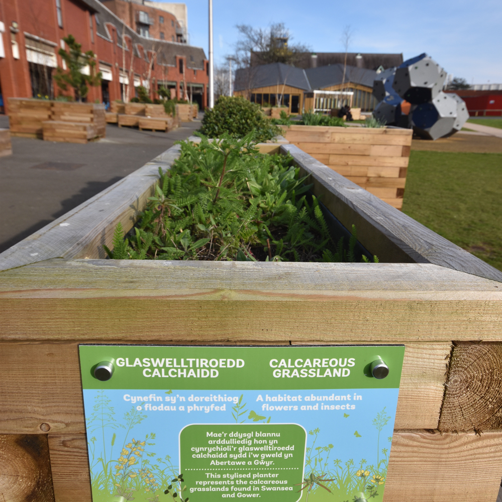 The temporary pop-up park at the city centre development site Swansea Central North. (Image: Swansea Council)