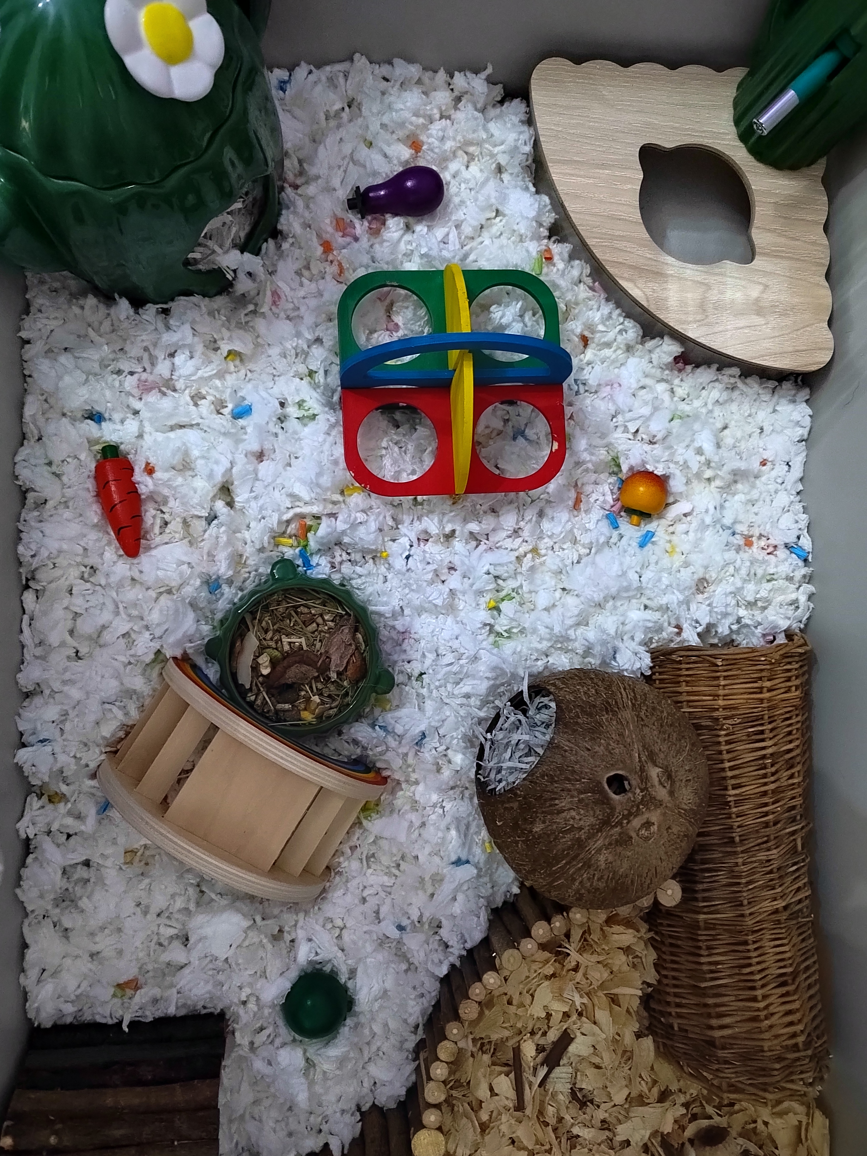 Dewi the hamster's new home (Image: RSPCA)