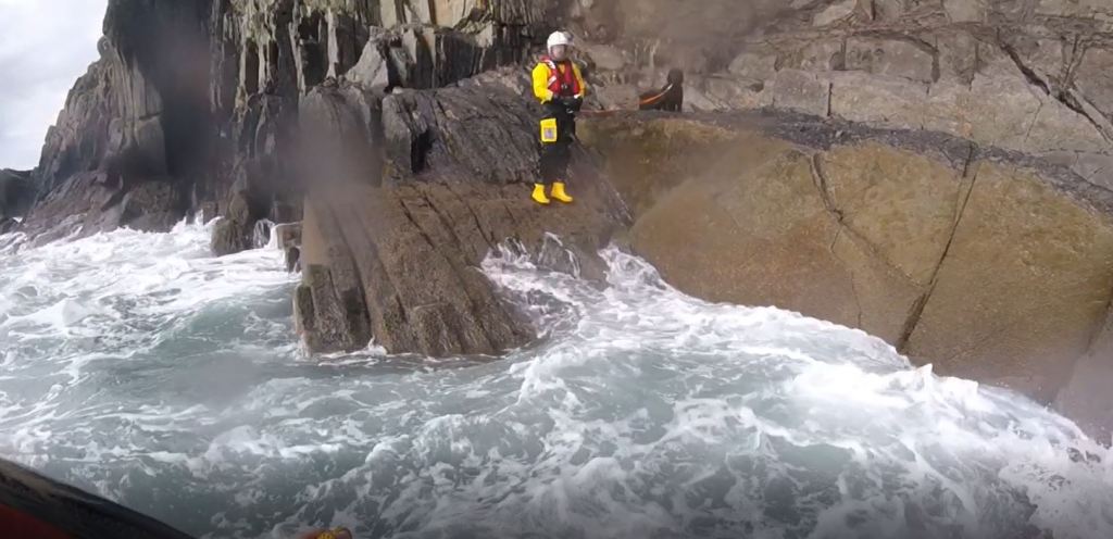 Lifeboat rescues rabbit-chasing dog after clifftop fall - Swansea Bay News