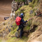A sheep has been rescued from a Pembrokeshire sea cliff by a specialist RSPCA rope team.