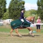 Lara Hooper equine law expert