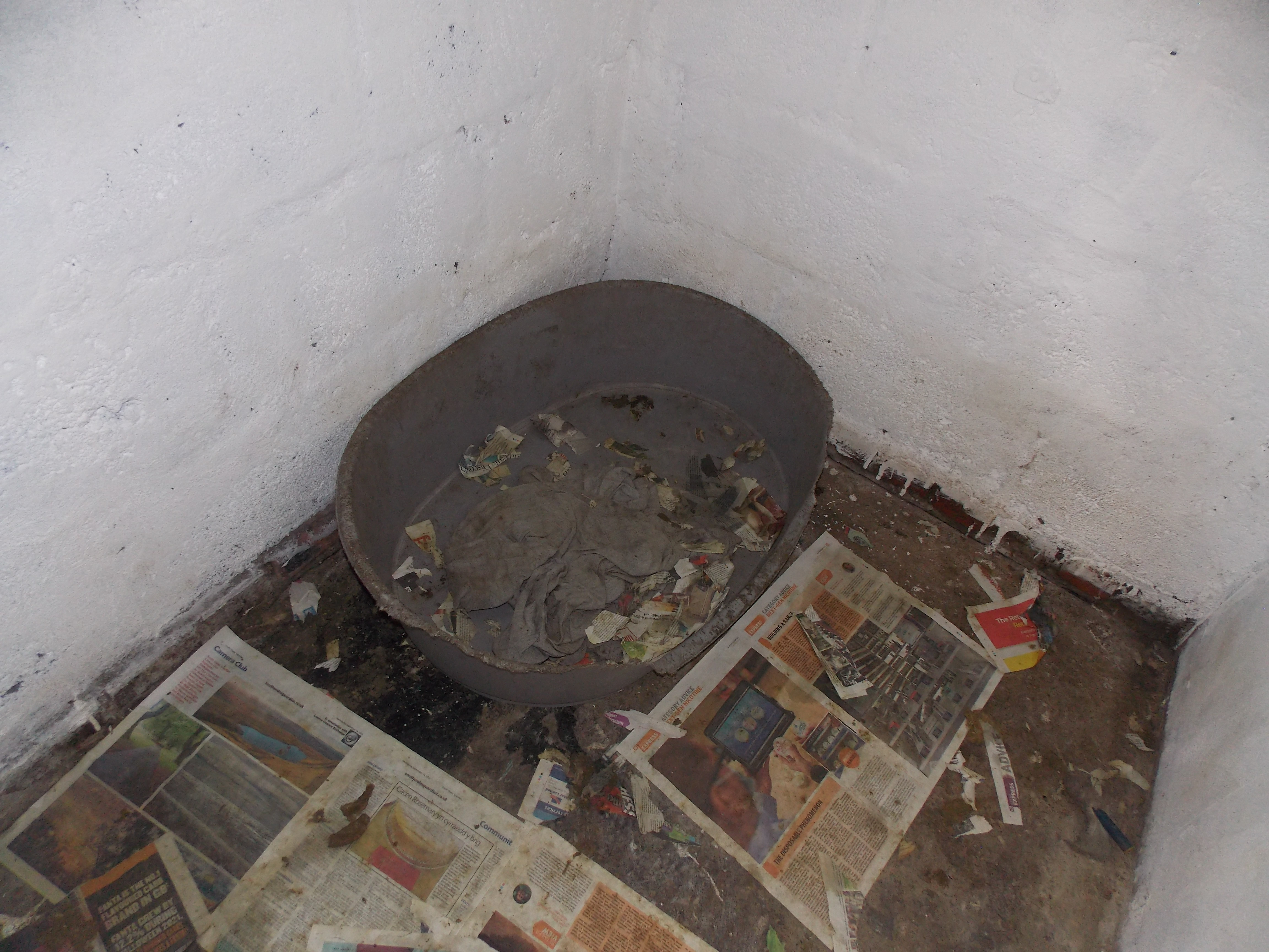 The interior of one of the sheds with no bedding for Woolcock's dogs (Image: RSPCA)