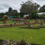 Singleton Park Botanical Gardens