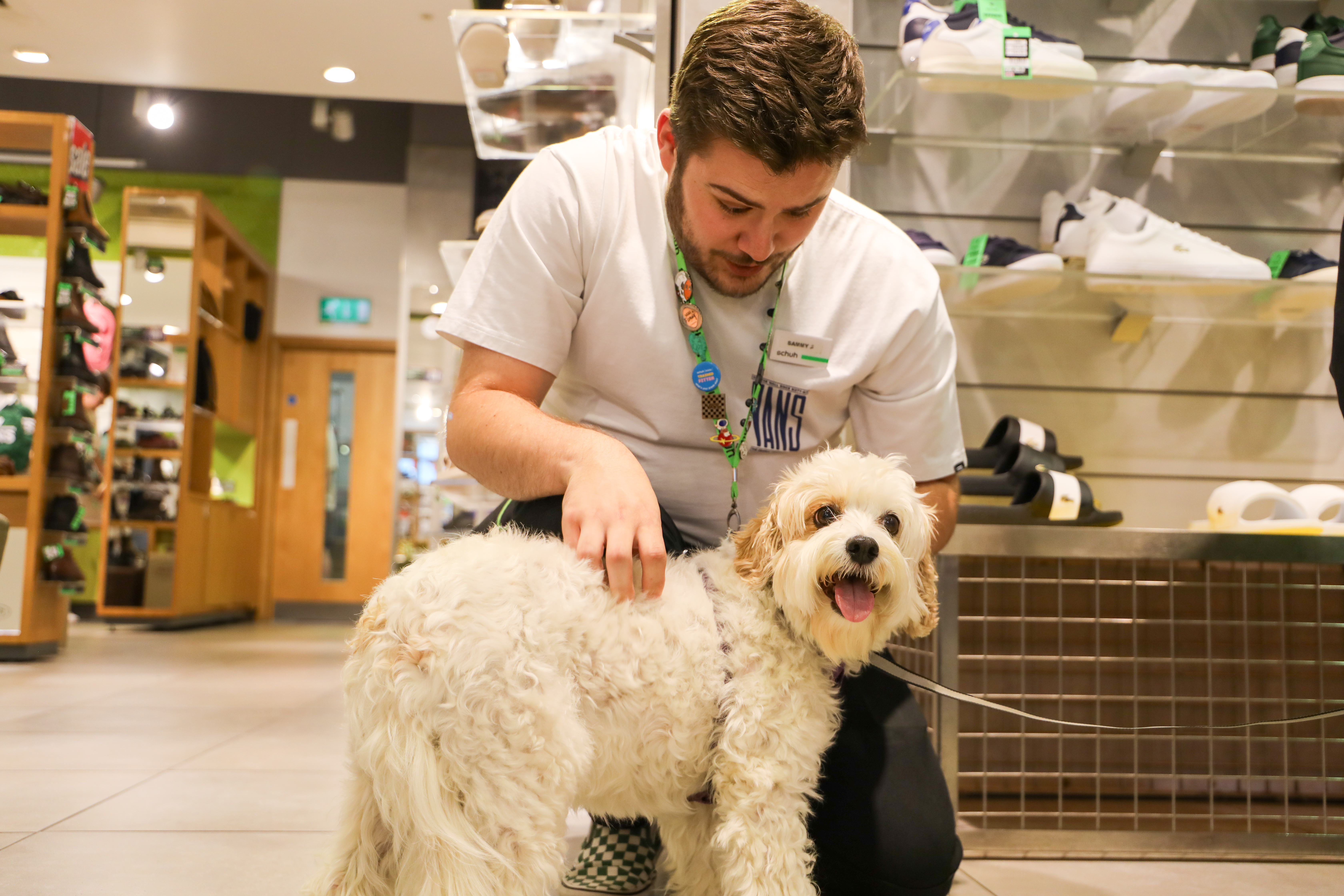 You can now take your well-behaved dog into stores in the Quadrant such as Schuh