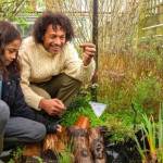 National charity calls for Welsh nature lovers to create watery havens for wildlife