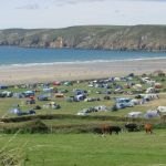 Newgale Campsite