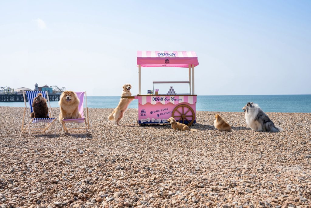 Aldi's dog ice cream
