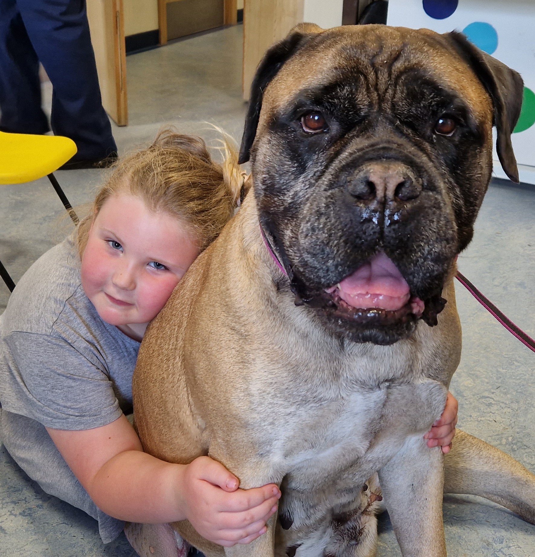 Six year old Sommer with therapy dog, Olga.