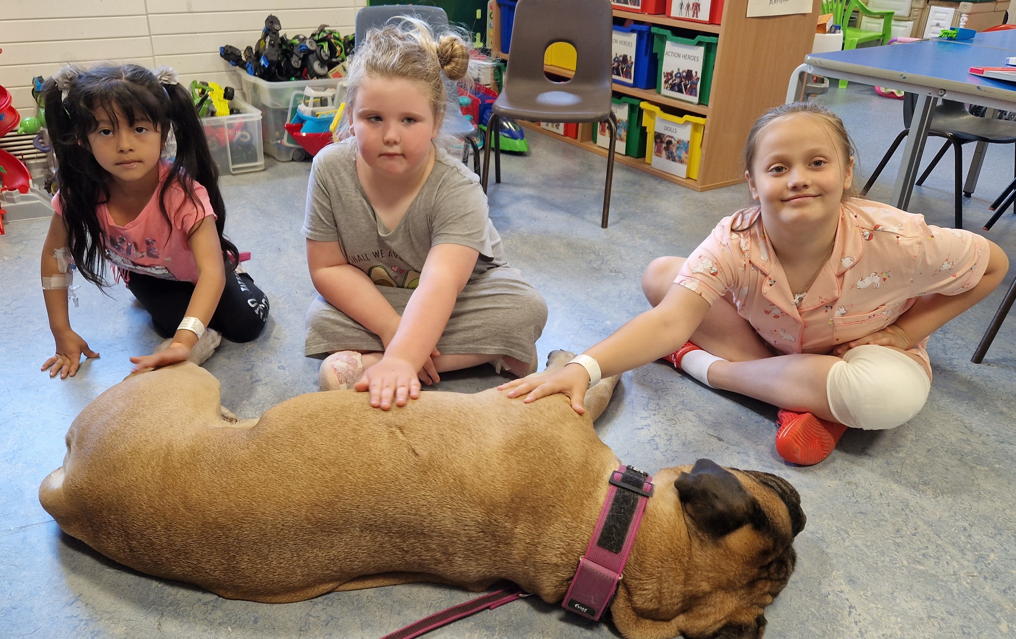 Olga the therapy dog with patients at Morriston Hospital's children's ward