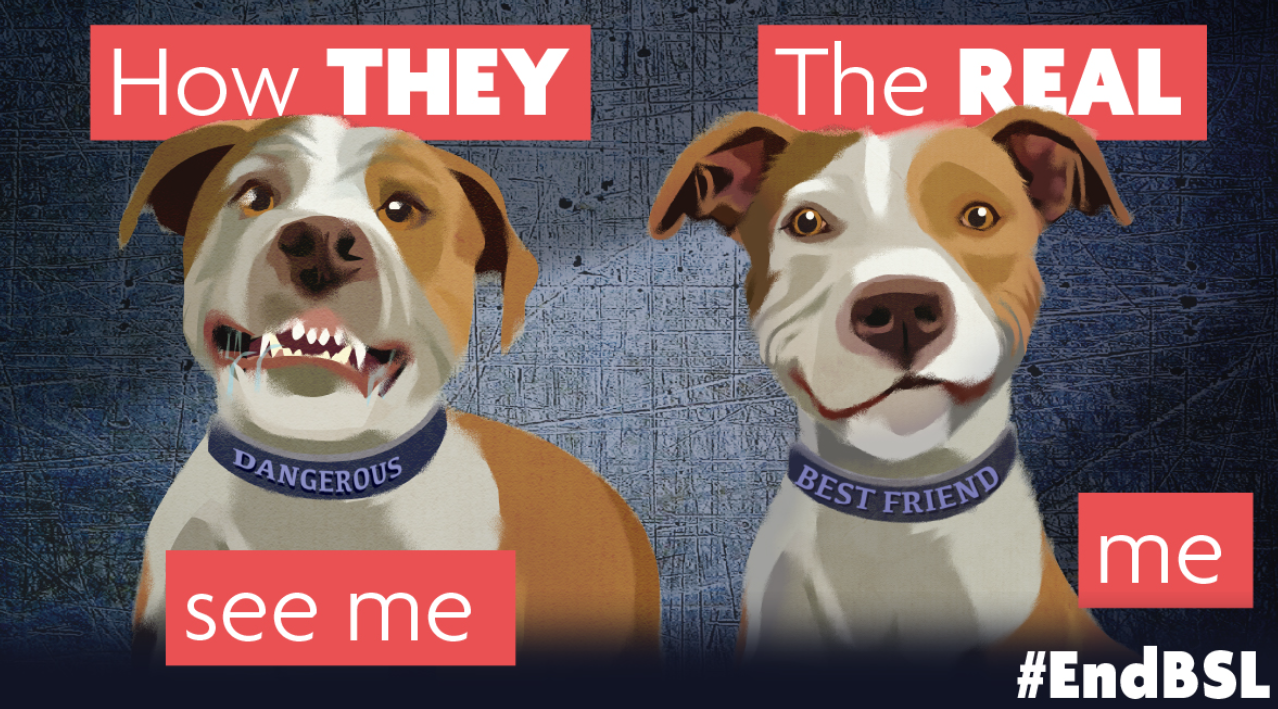 Campaign image to reform Breed Specific Legislation (BSL)