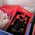 Some of the unsafe meat being used by Happy Hounds raw pet food manufacturer