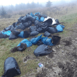 Cannabis farm found dumped in forest