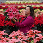 Claire Bishop, Dobbies’ Senior Houseplant Buyer, © Stewart Attwood