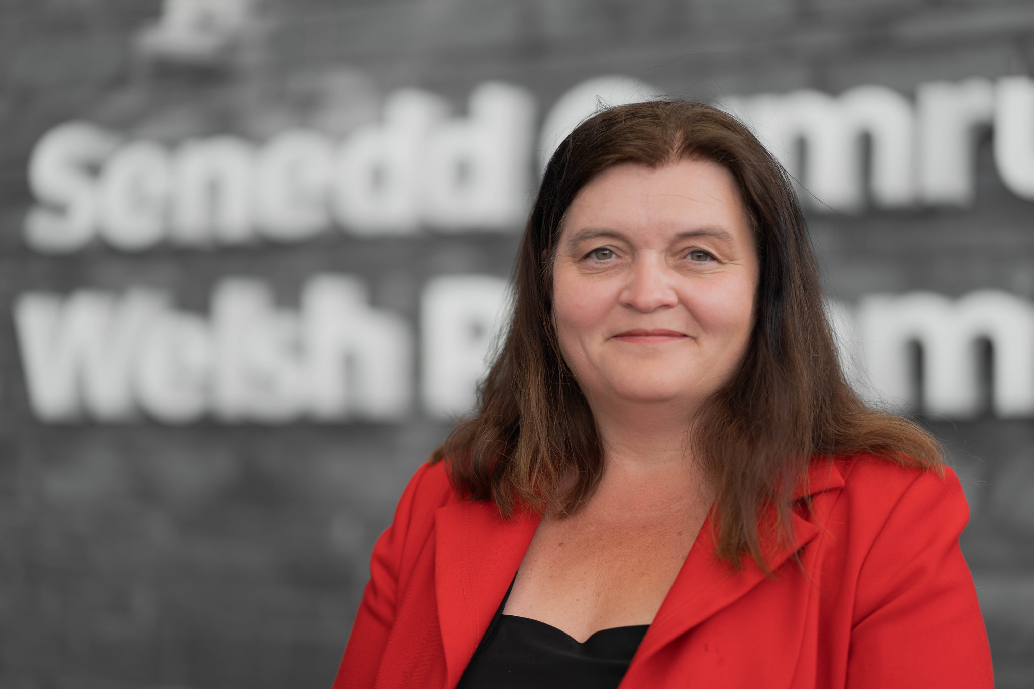 Neath MS, Sioned Williams