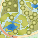 Heol y Cyw wetland habitat
