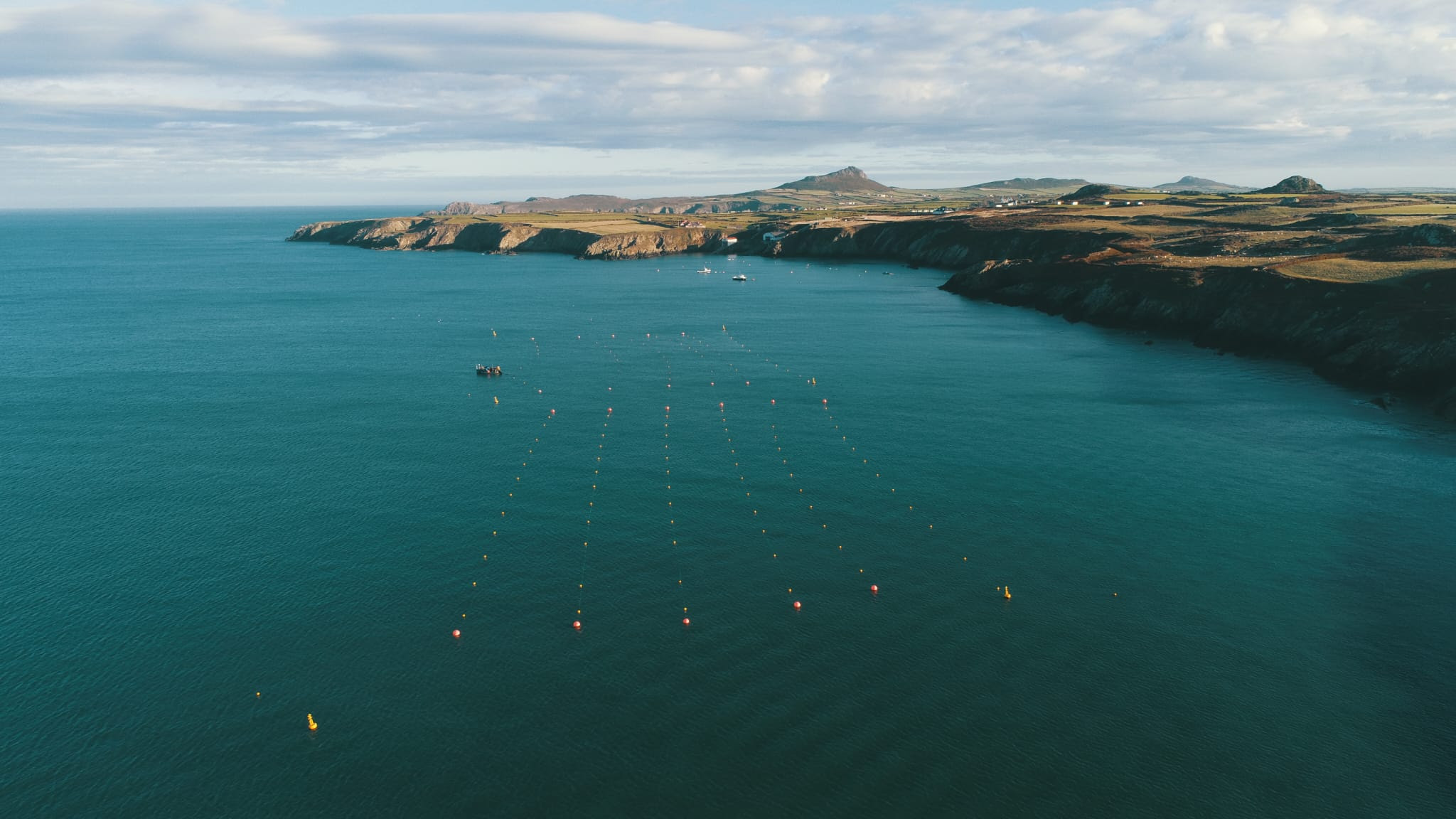 Harvesting seaweed off thew Pembrokeshire coast