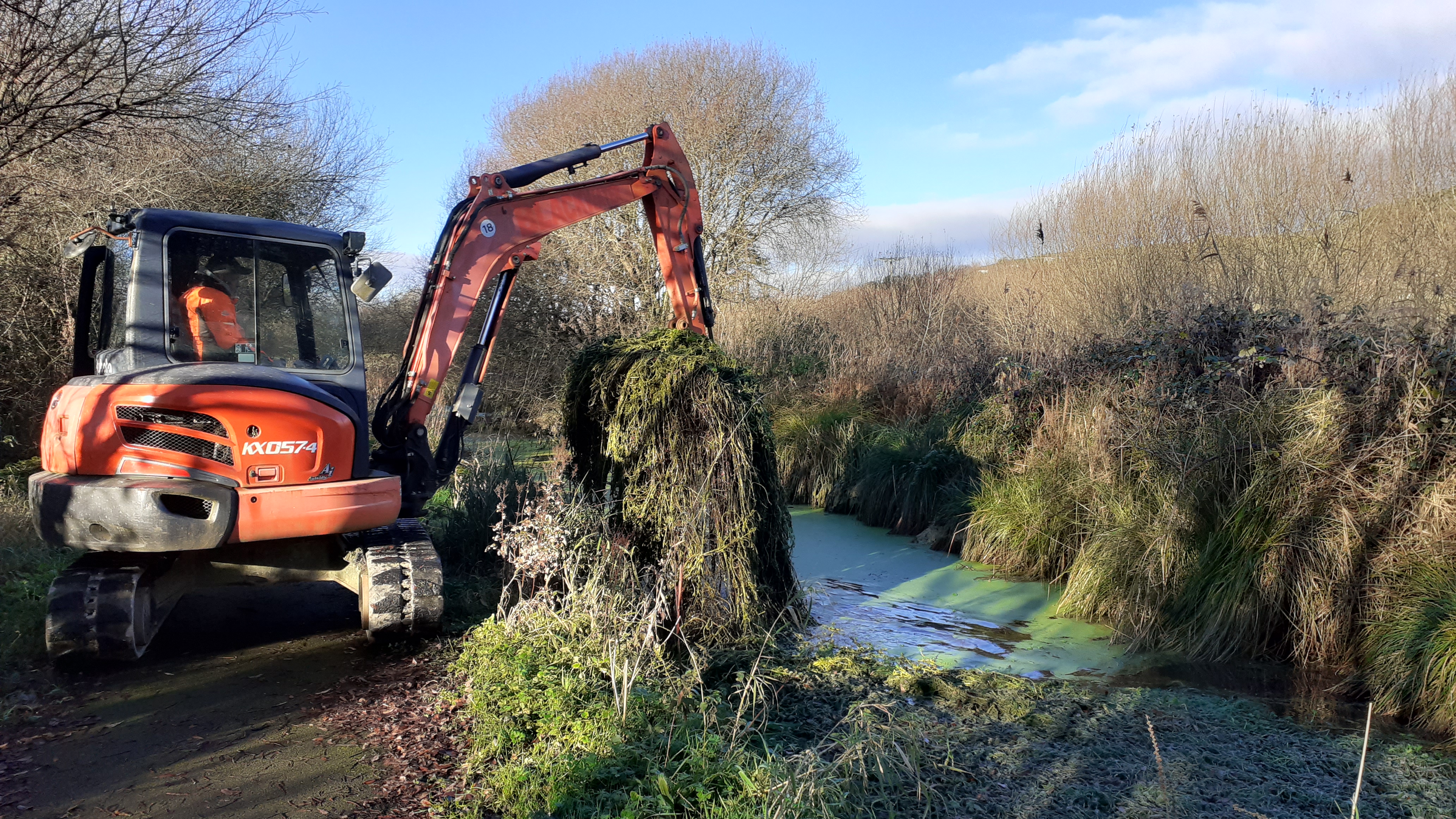 Parrot’s Feather Control on Pembrey Canal.jpg