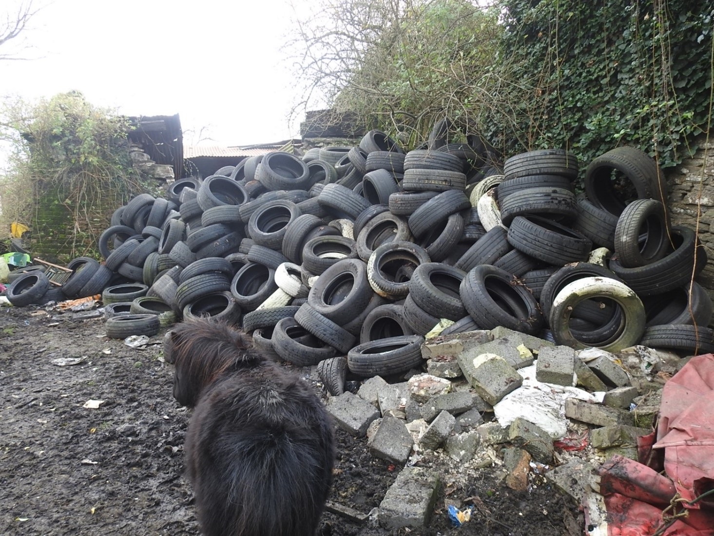Waste left by Stephen Billings at Ffos fach farm in Bynea