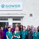 Team members from Gover Veterinary Surgery are walking 20 miles for a good cause as the veterinary practice celebrates its twentieth anniversary.