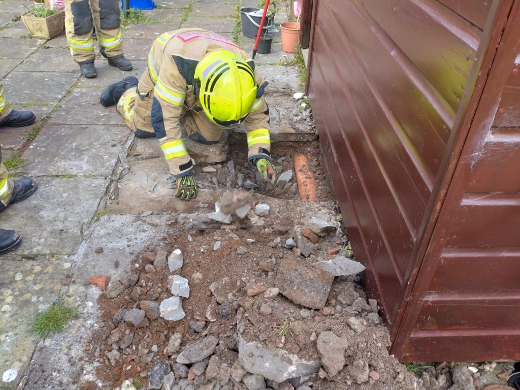 Specialist search and rescue crew called to Swansea garden to rescue ...