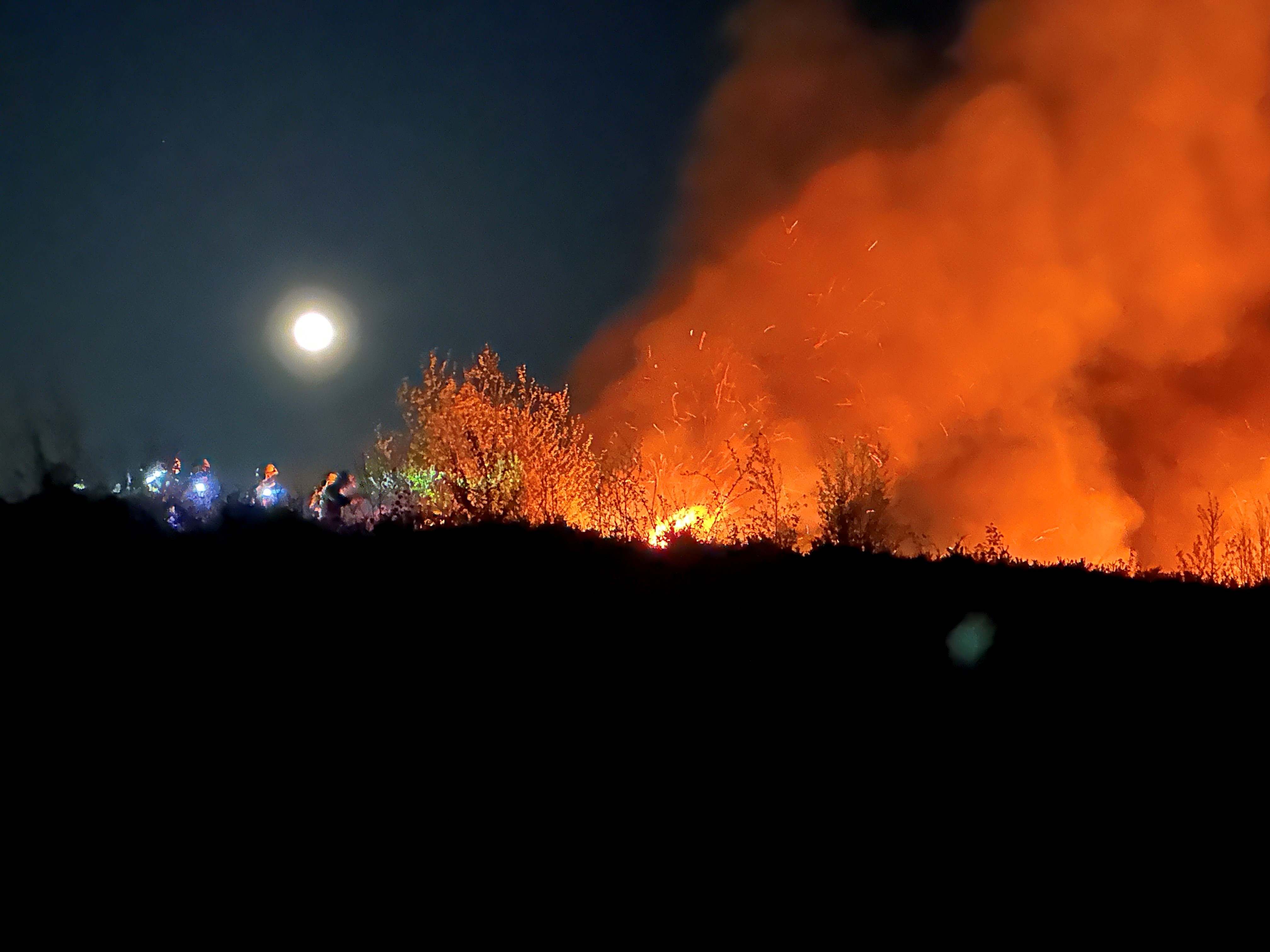 Crews responded to a wildfire which destroyed approximately four hectares of grass.