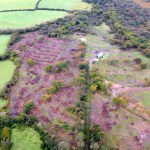 8.5 hectares of native and wet woodland located to the north of Ilston on Gower that was illegally cut-down (Image: Natural Resources Wales)