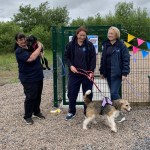 Llys Nini dog run launch