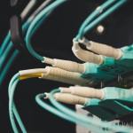 close up photo of plugged cables