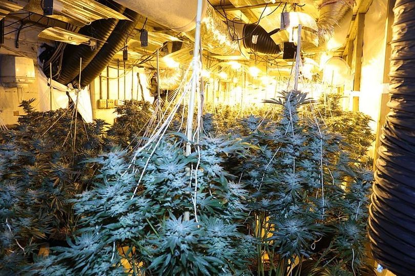 Cannabis found at disused Carmarthen tyre centre
