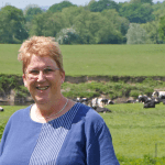 Ann Davies MP on farm