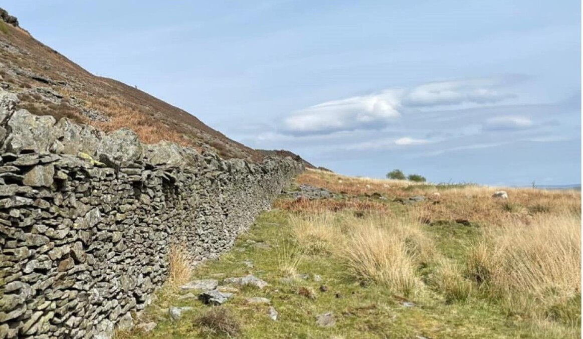 50 acres of rural Swansea Valley land near Godre’r Graig village is up for auction with SDL Property Auctions on 27 March