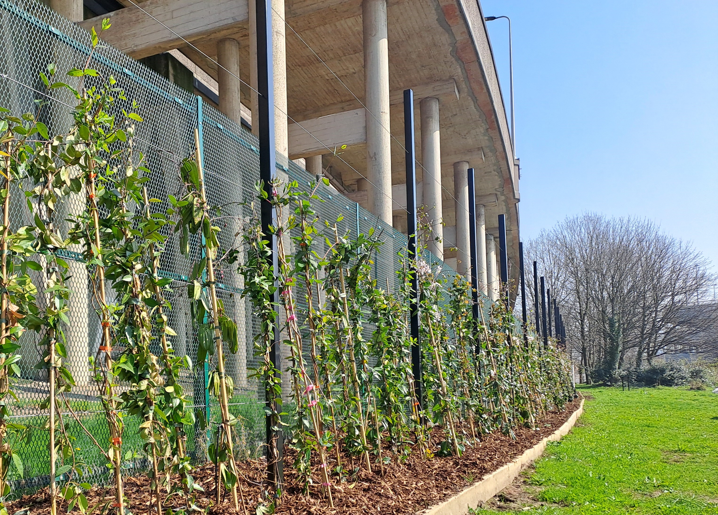Green screen under the M4 at Port Talbot