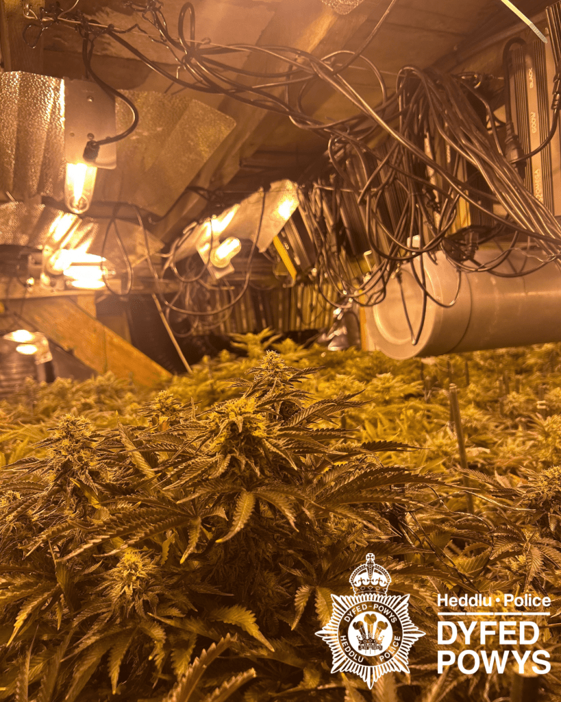 Drugs discovered in Kidwelly