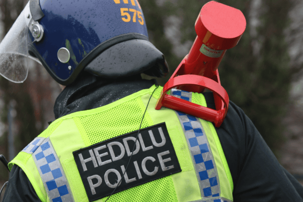 Dyfed Powys Police Officer raiding cannabis farm