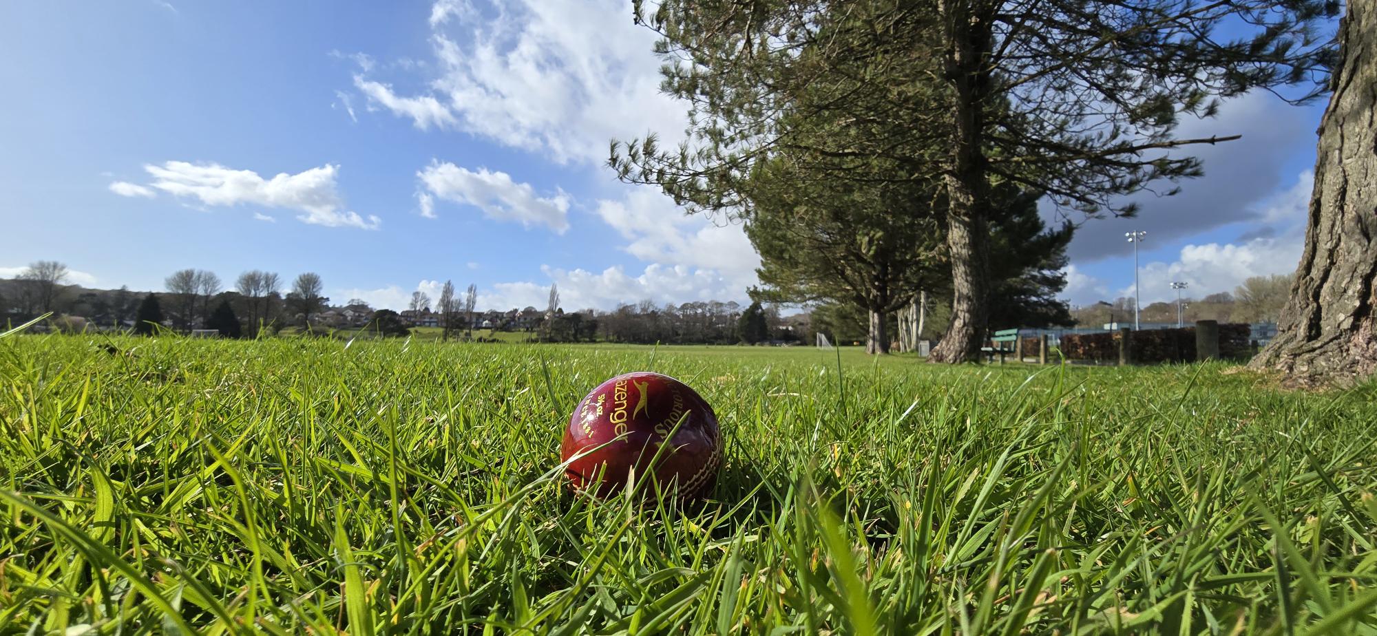 Cricket ball on grass