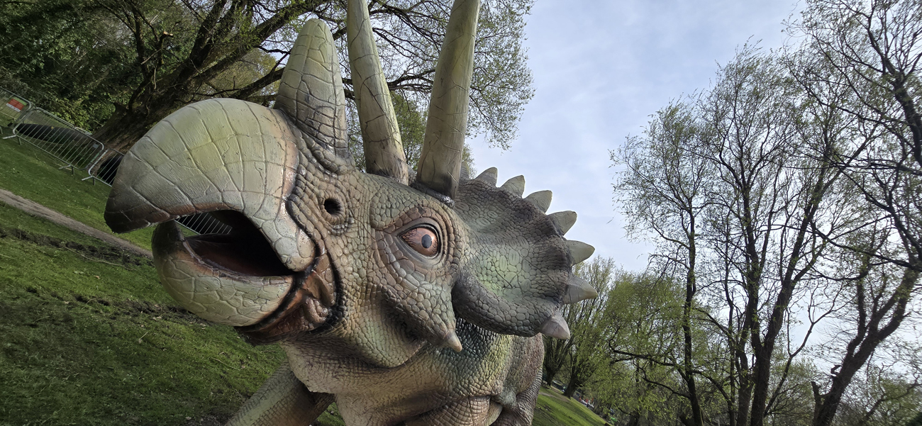 Dinosaurs at Singleton Park