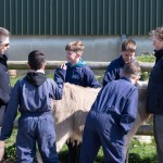 Royal Visit at Treginnis Farm