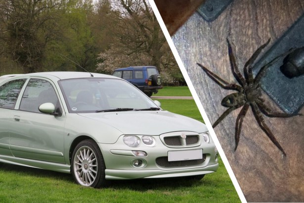 Spider and car