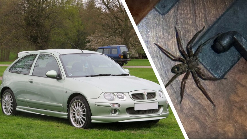 Spider and car