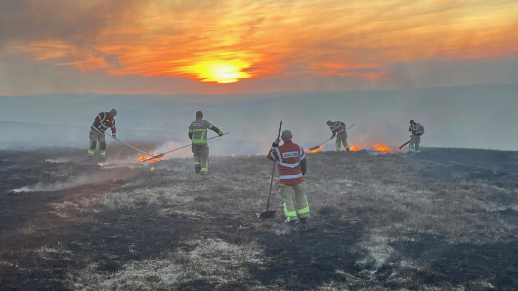 Mid and Weat Wales Fire and Rescue Service putting out a grass fire in March 2025